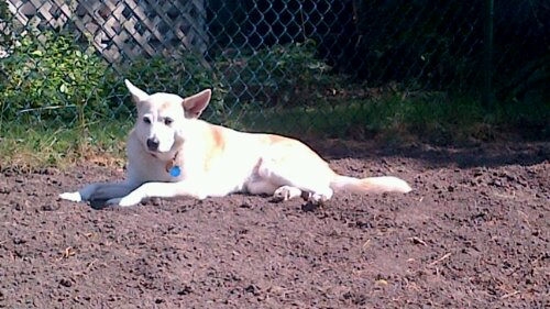 IMG_00000196.jpg image