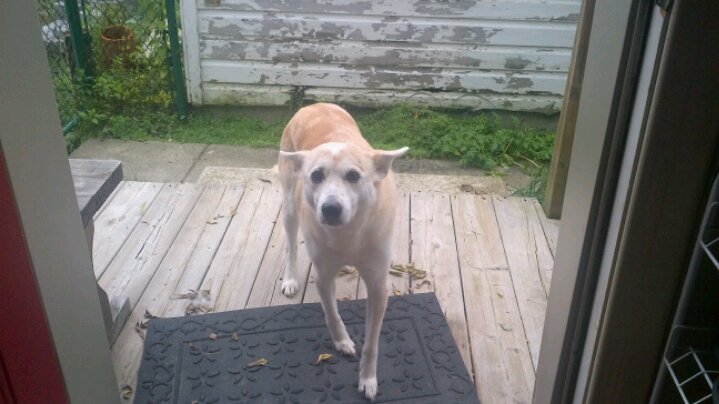 IMG_00000244.jpg image