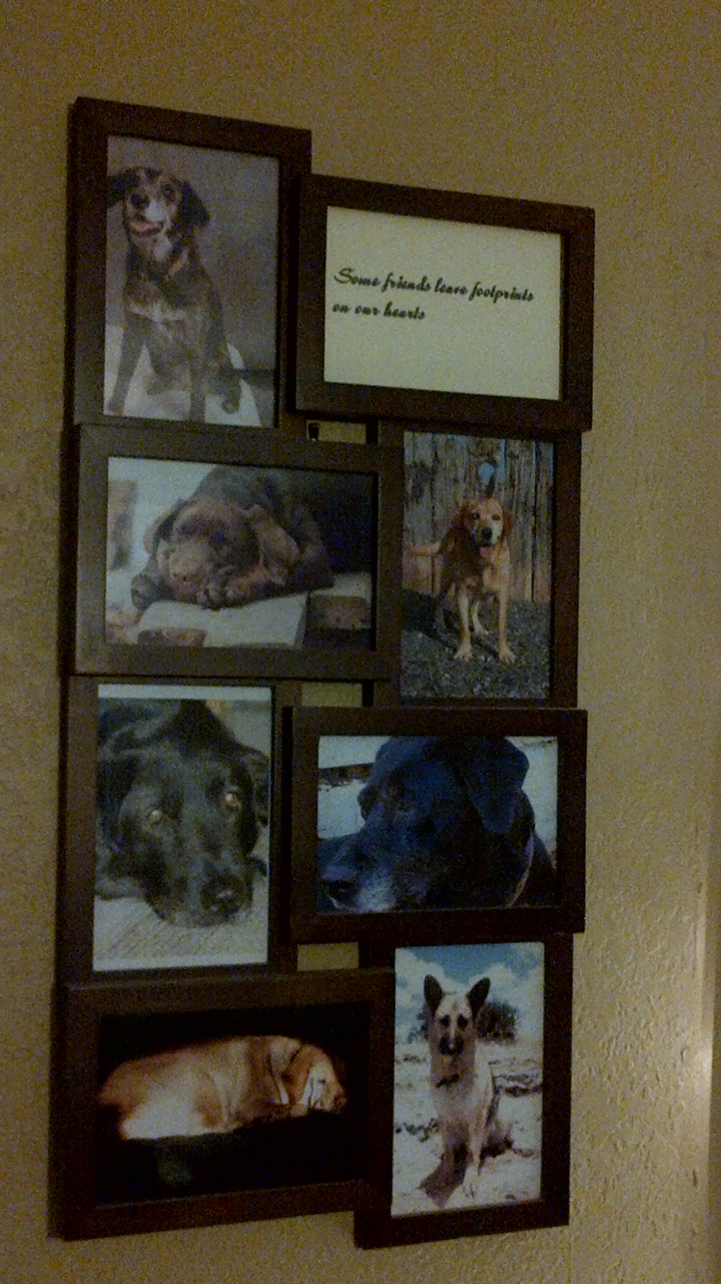 Dogs that left footprints