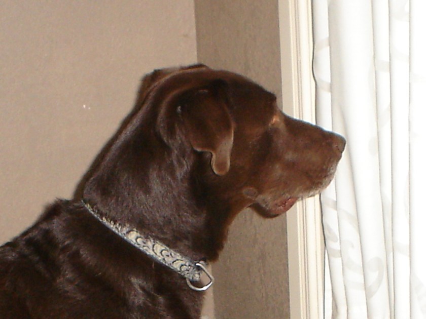 Kendal continues improving