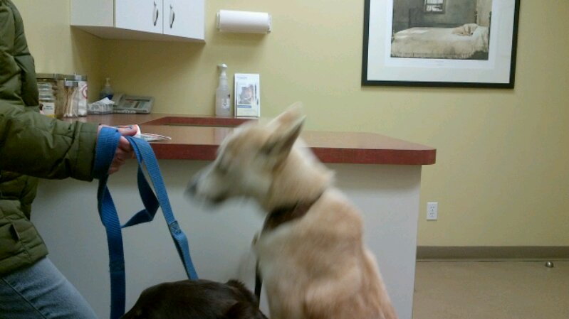 IMG_00000928.jpg image