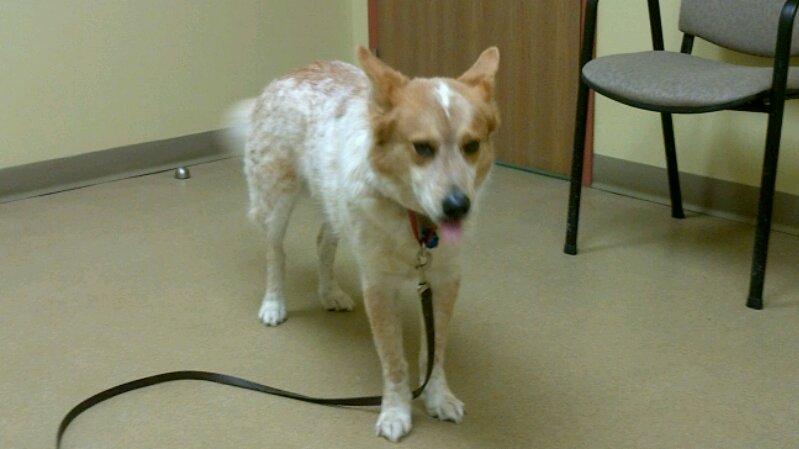 IMG_00000940.jpg image