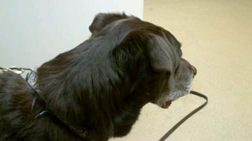 IMG_00000943.jpg image