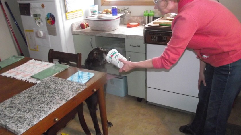 Kendal thinks yogurt is yummy