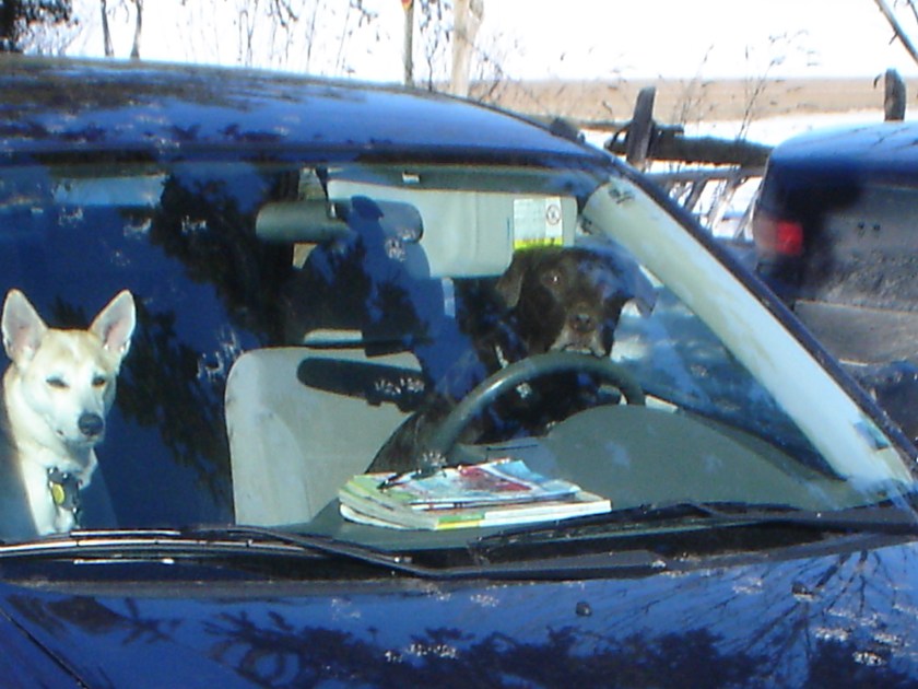 Kendal, you don't have a drivers licence