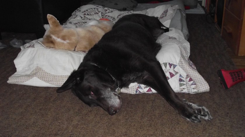 That cannot possibly be comfortable.