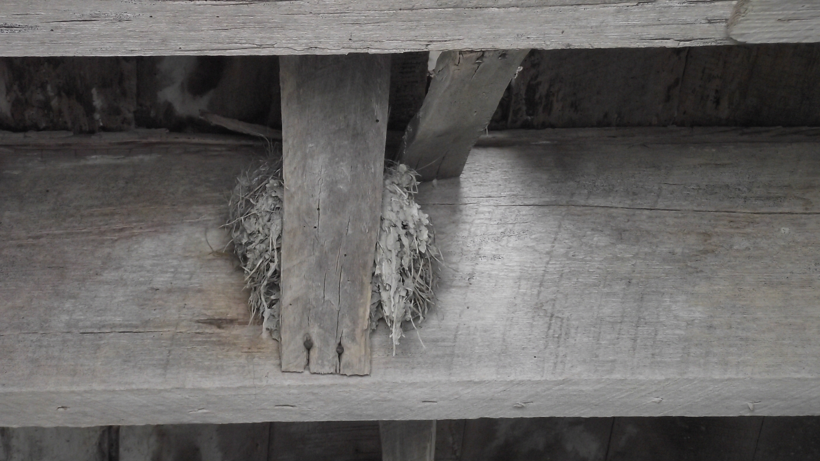 Abandoned? Perhaps not.