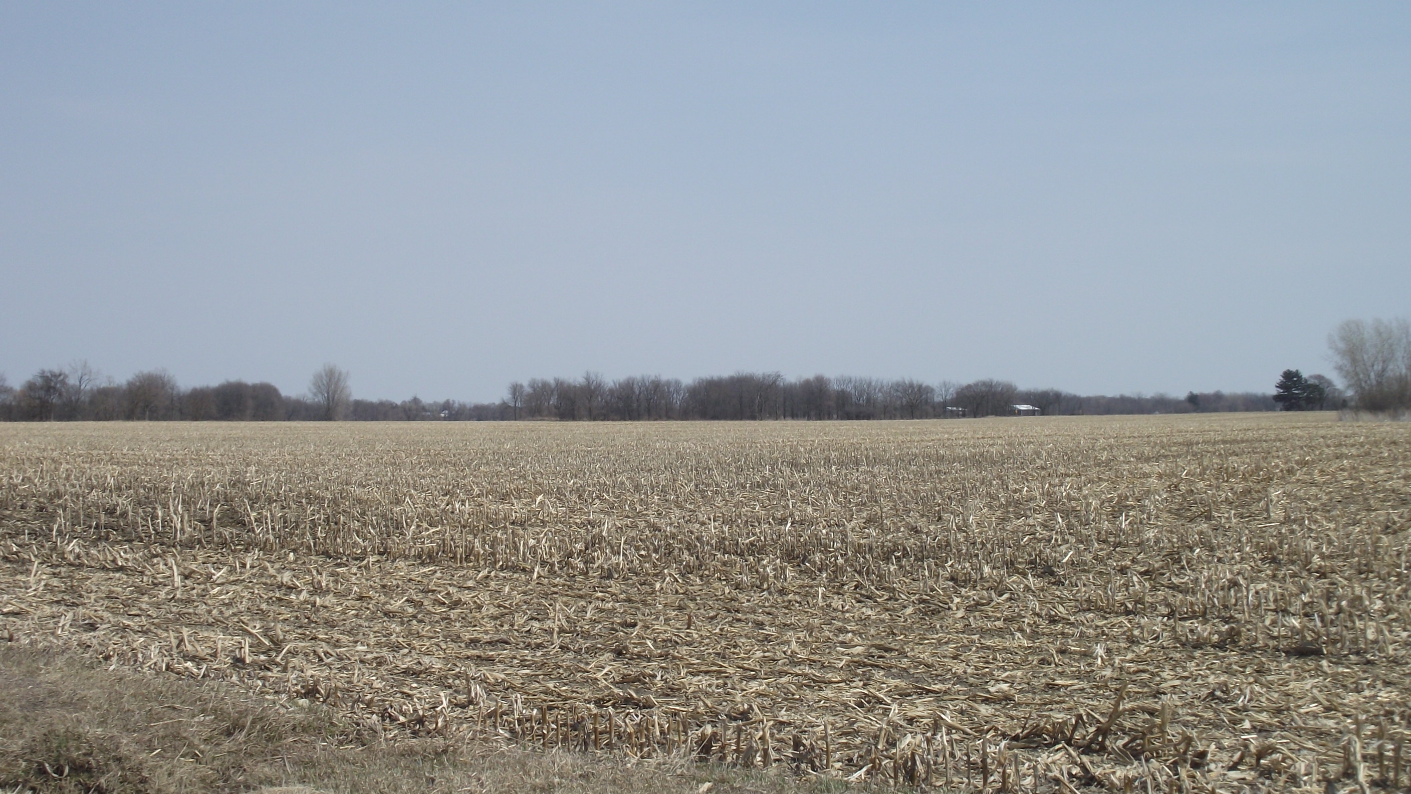 Field, Chatham-Kent