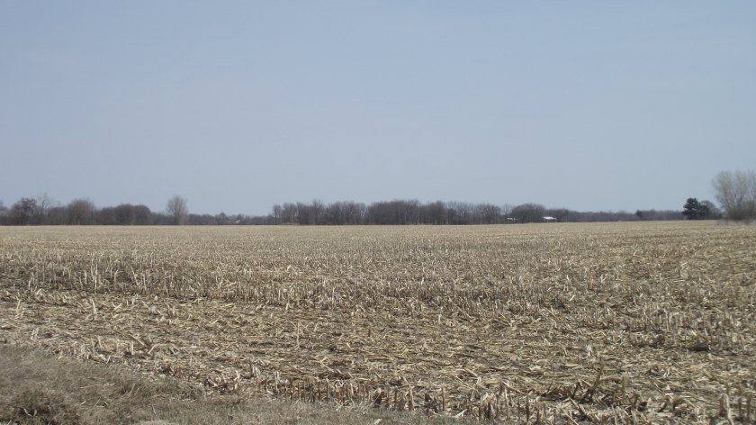 Field, Chatham-Kent