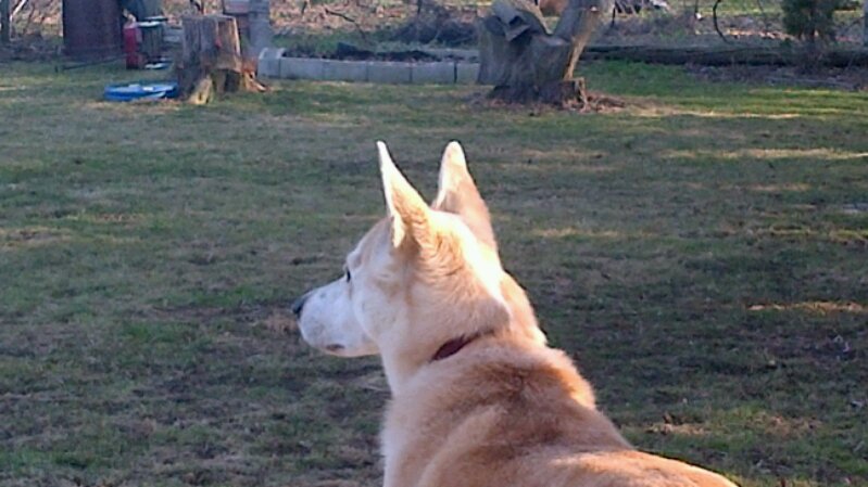 IMG_00001056.jpg image