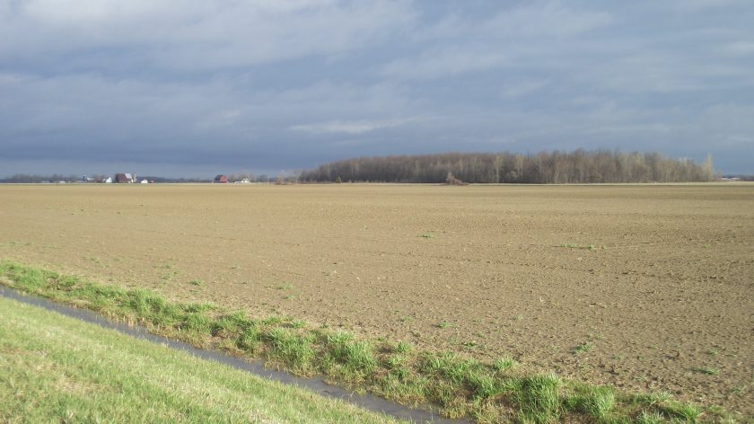 Suspended, Lambton County