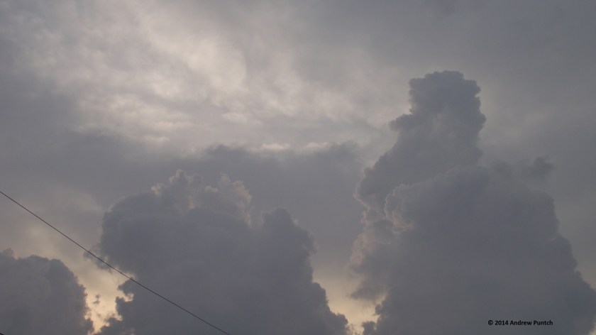 Towering cumulus, dawn