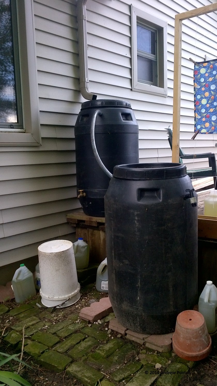 Rainwater harvesting