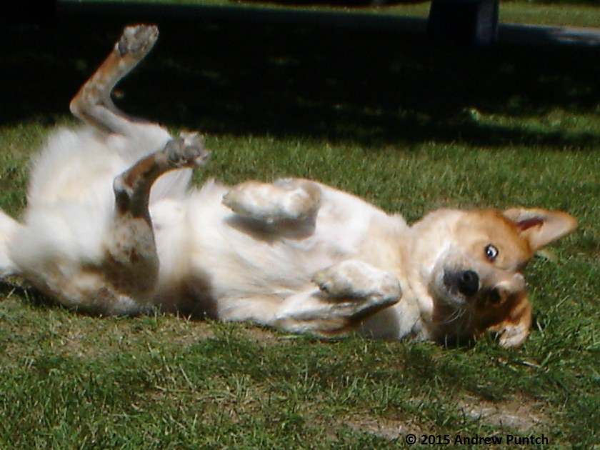 Canada_Download_Sep24 028 - Copy