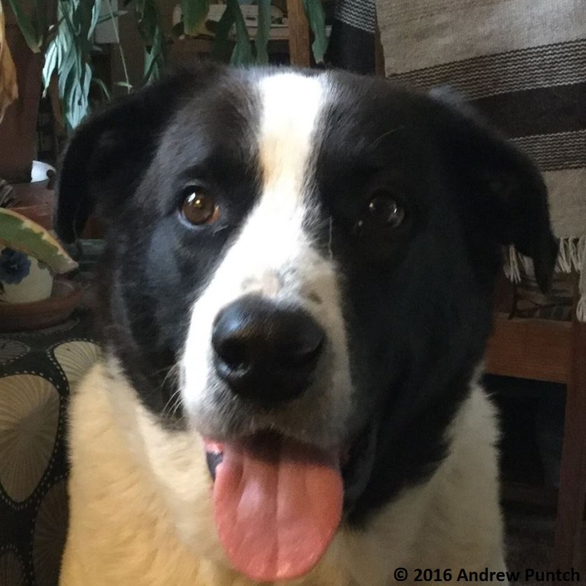 7399_10206665904498950_4036728076570137214_n - Copy