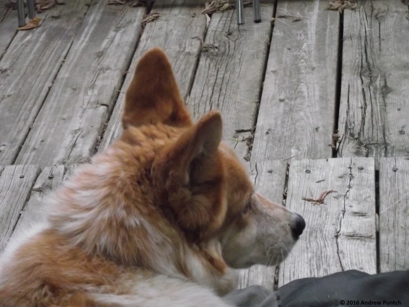 2016-09-achilles01-copy