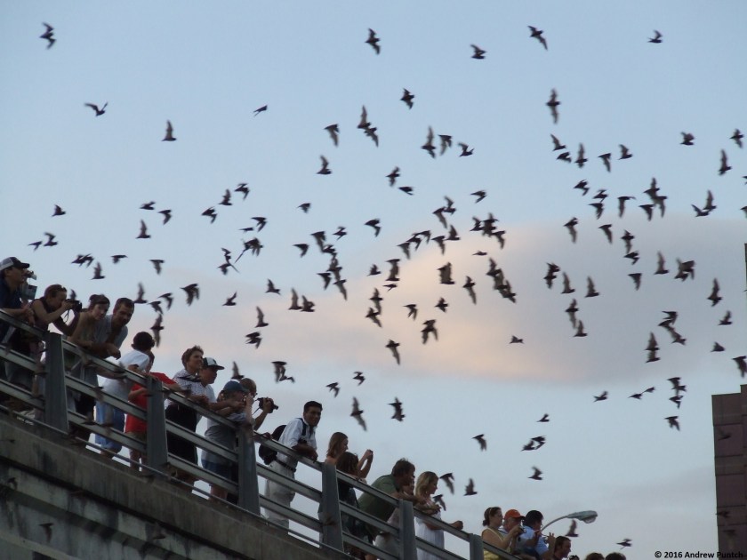 august_4_download-031-copy