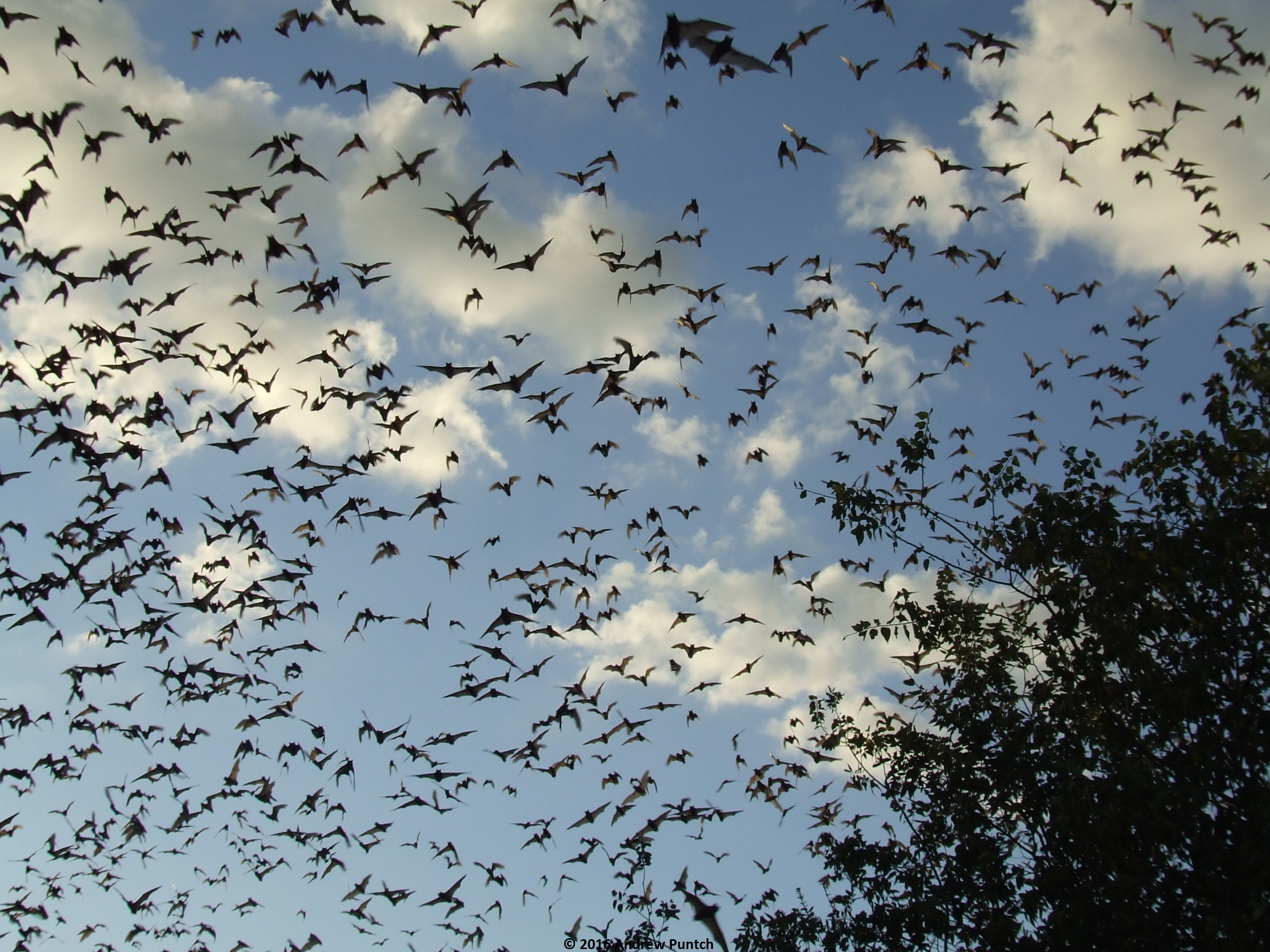 august_4_download-123-copy