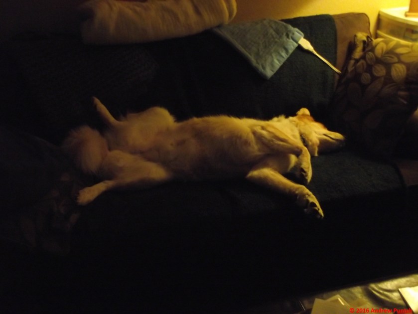 2016-10-achilles03copy