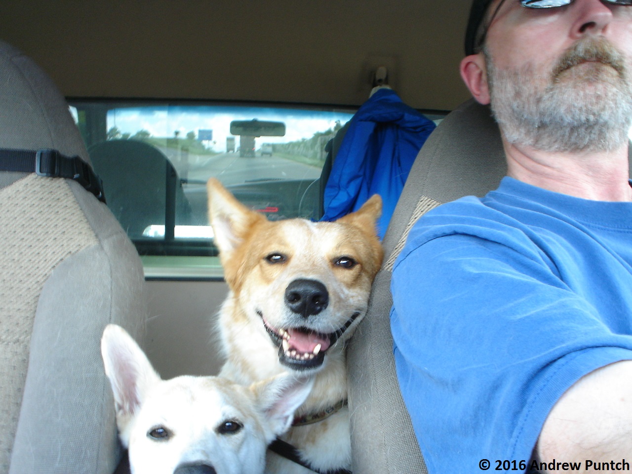 TX-Canada_Day1 009 - Copy