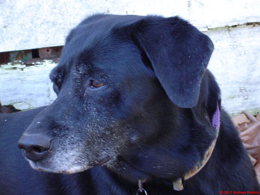 DigitalJan2504 001 - Copy