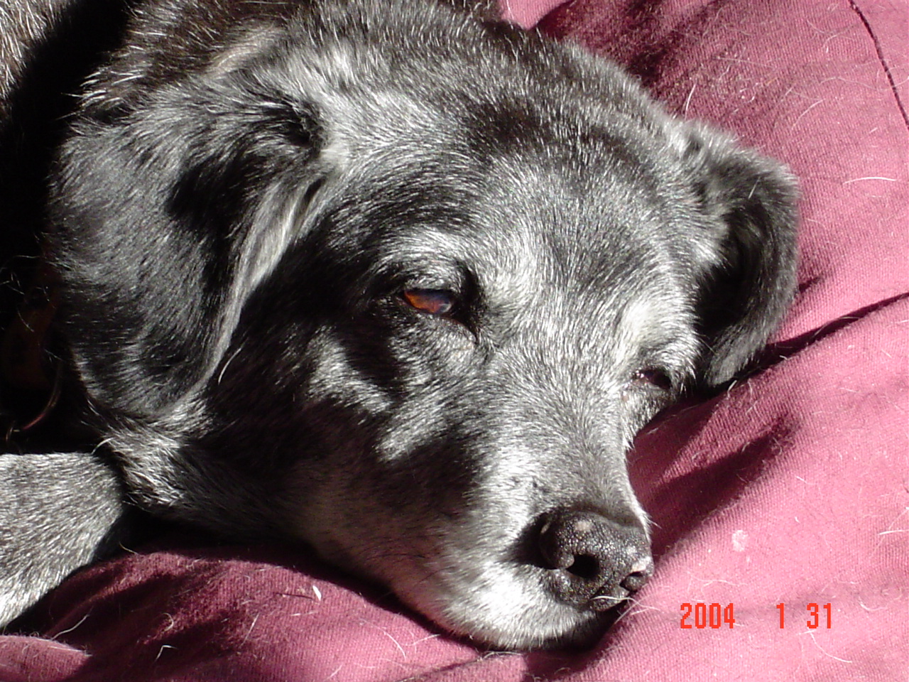 DigitalJan2504 021 - Copy