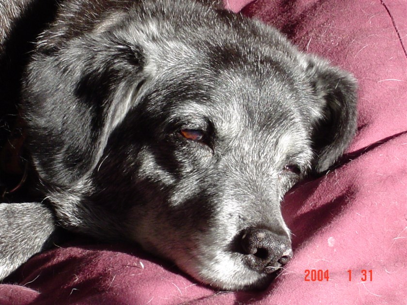 DigitalJan2504 021 - Copy