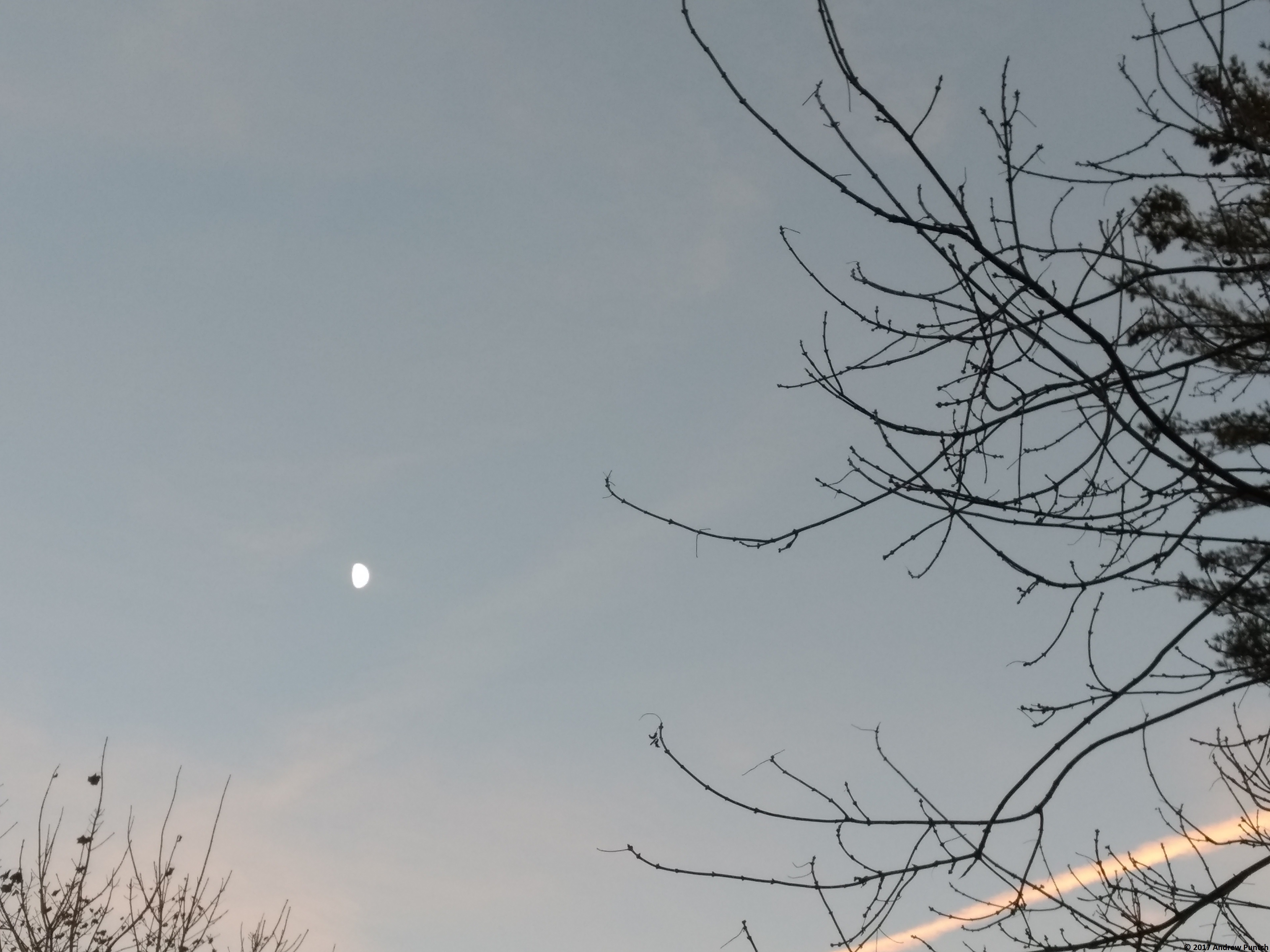 IMG_20171128_170330752-copy