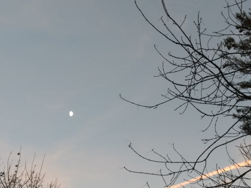 IMG_20171128_170330752-copy