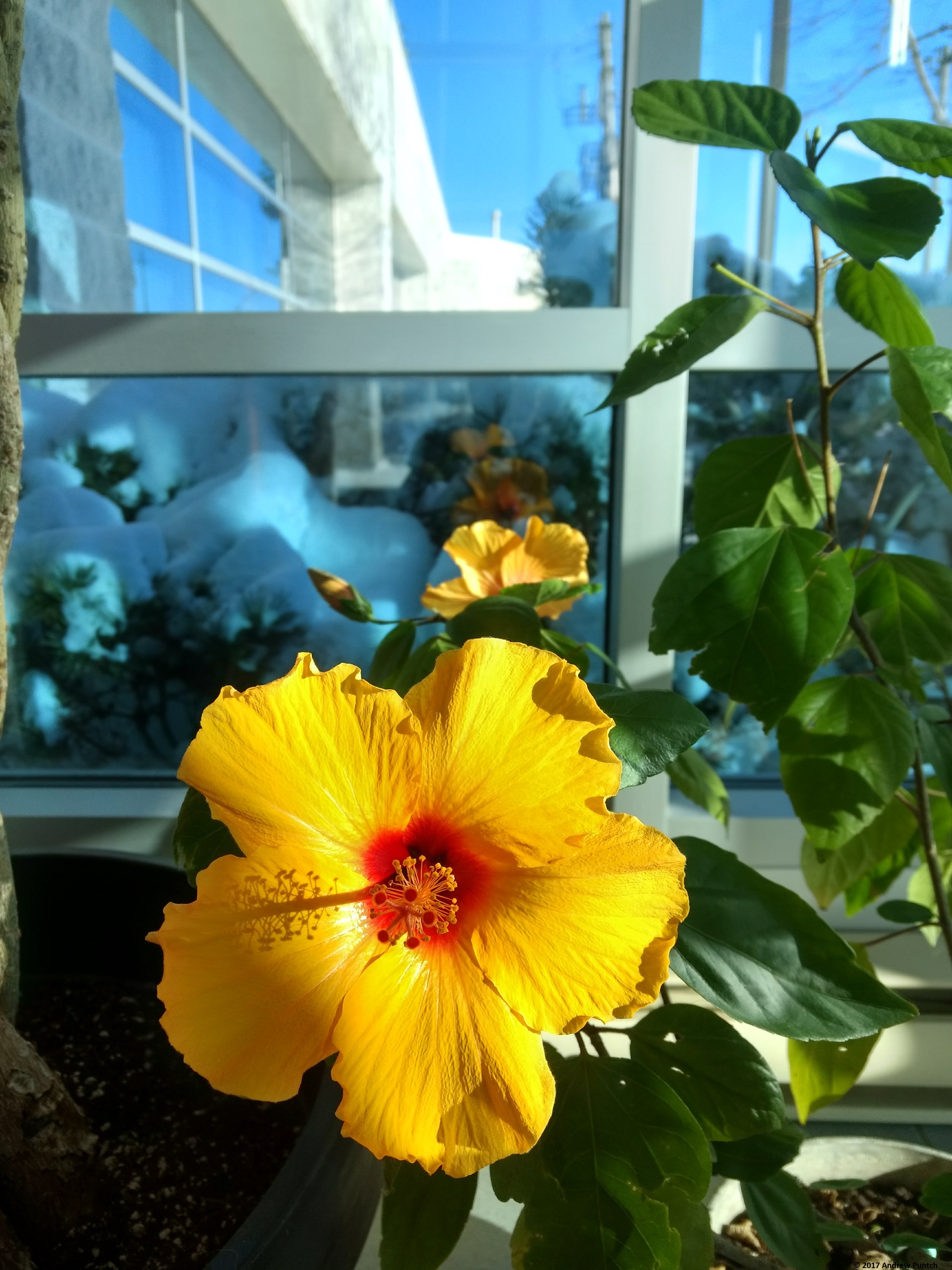 IMG_20171214_142847146_HDR - 1