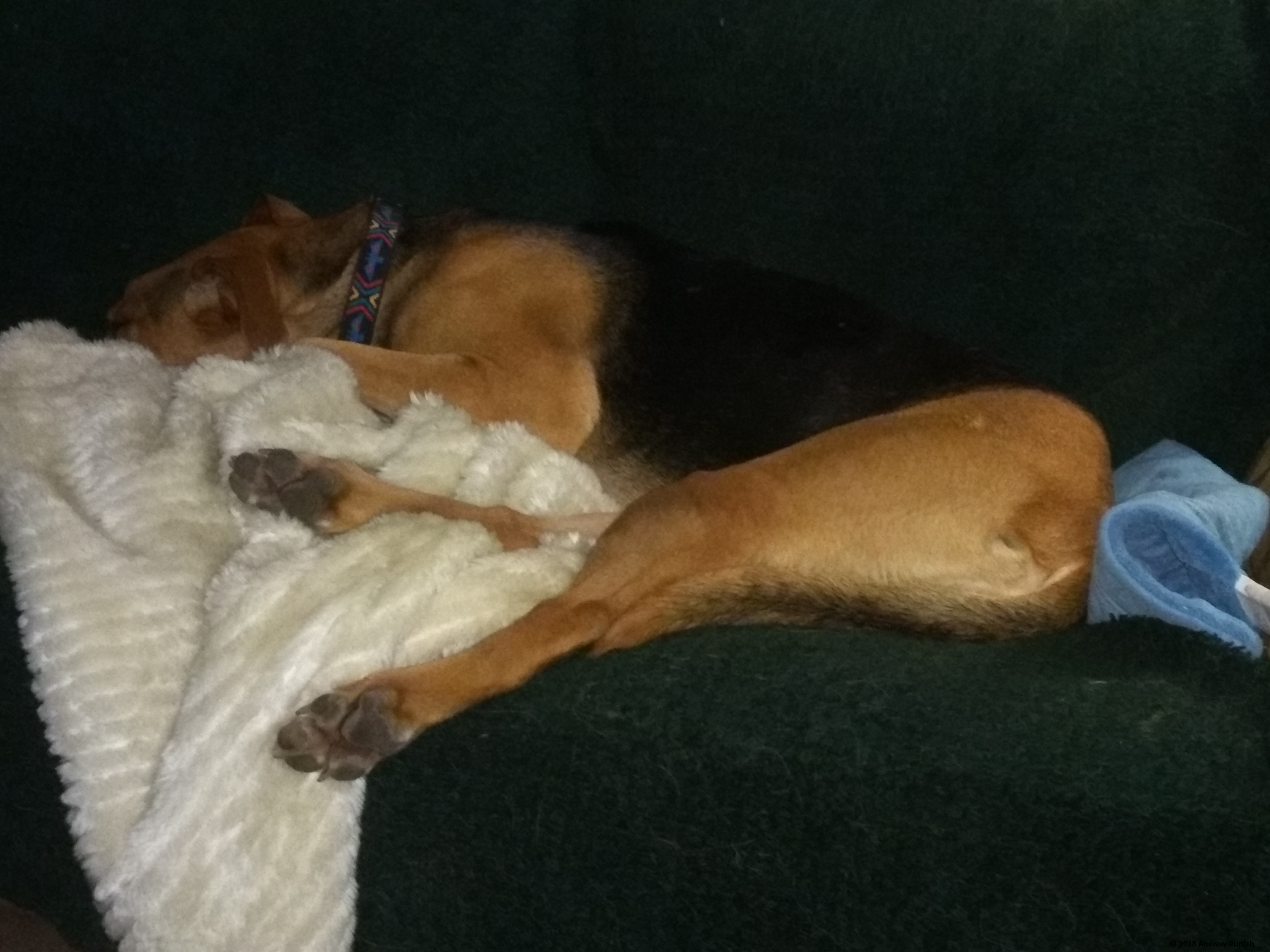 IMG_20180305-1 - Copy