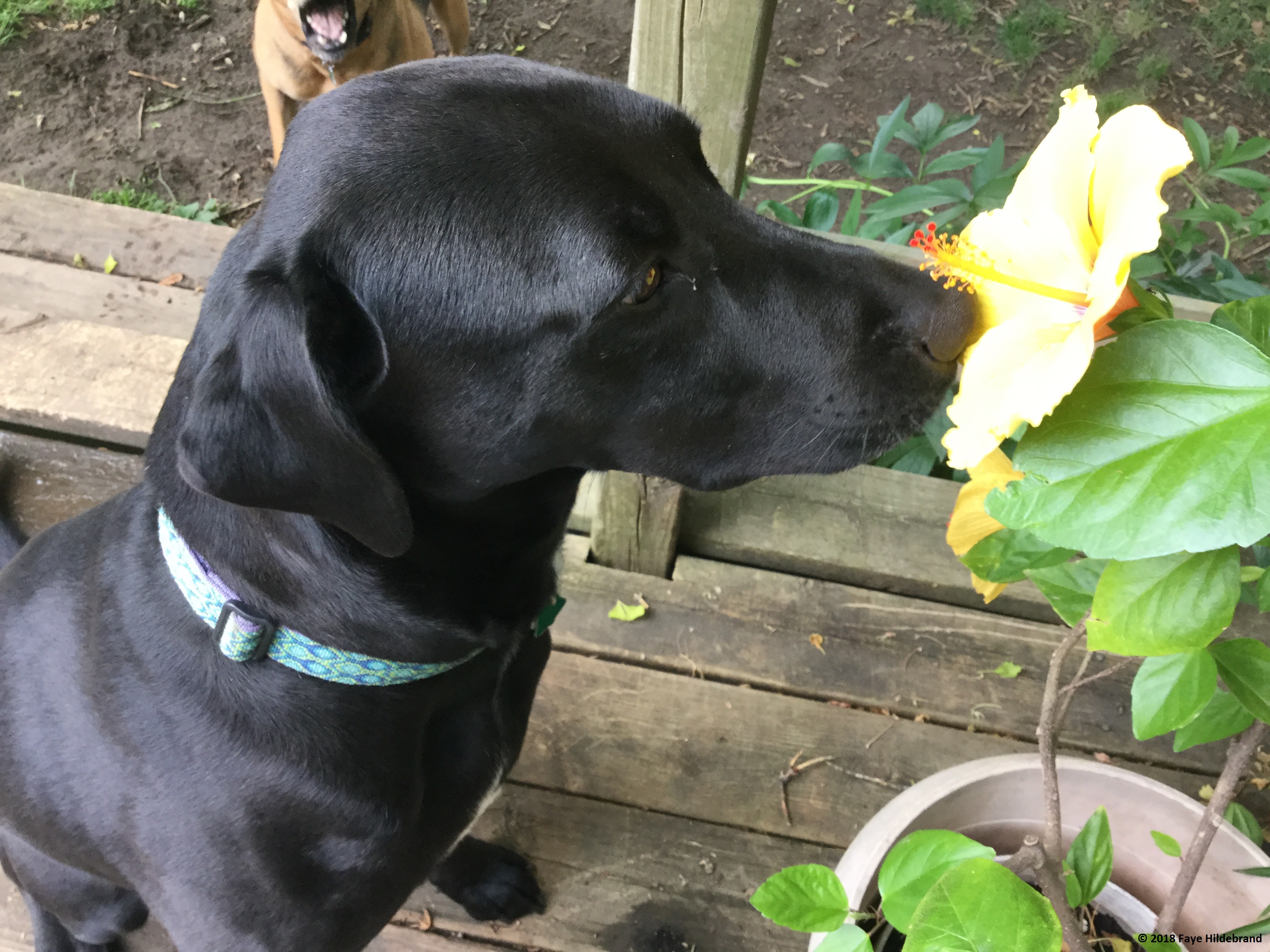 image3 - Copy - Copy