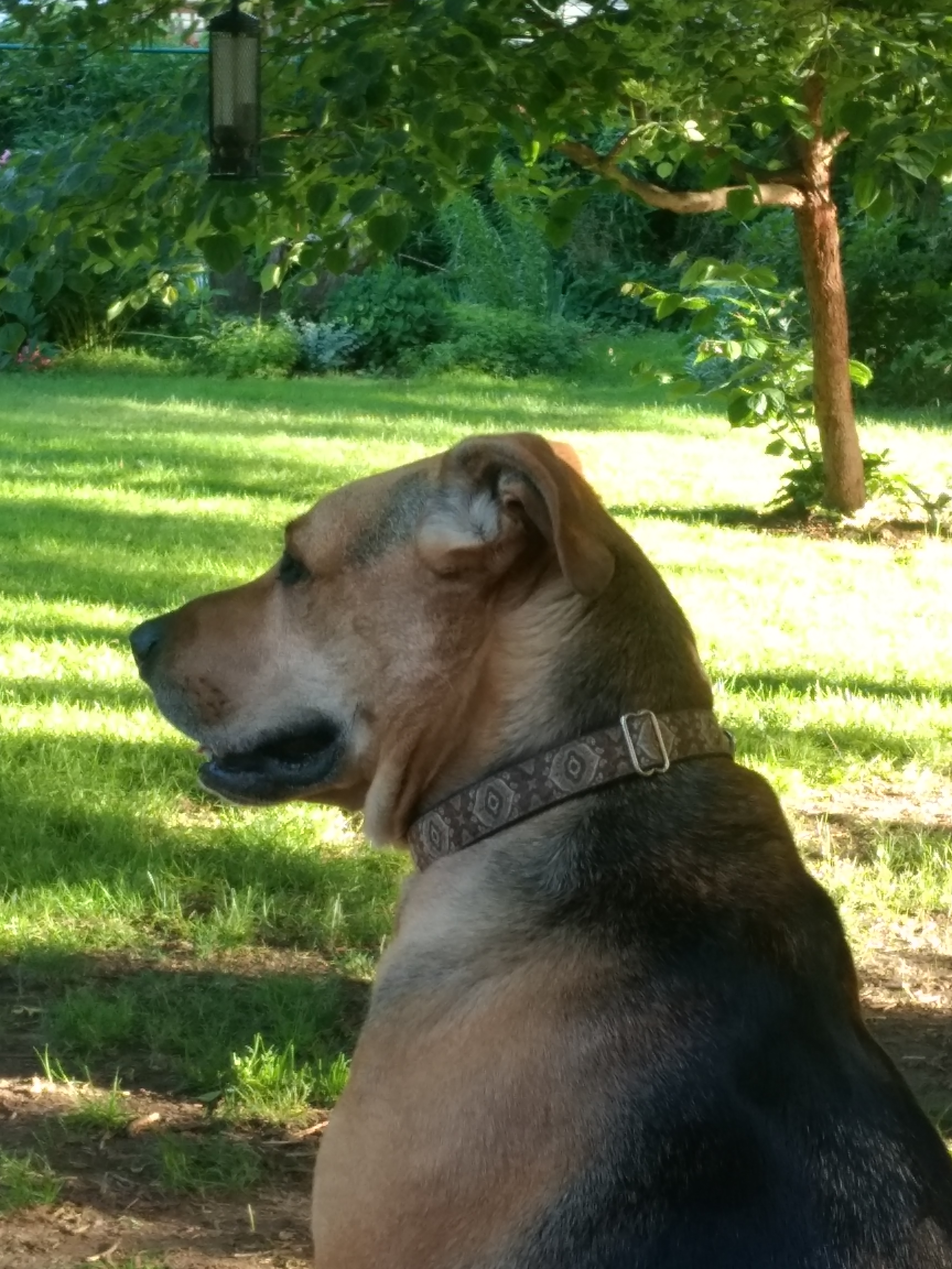 IMG_20180625_192459392