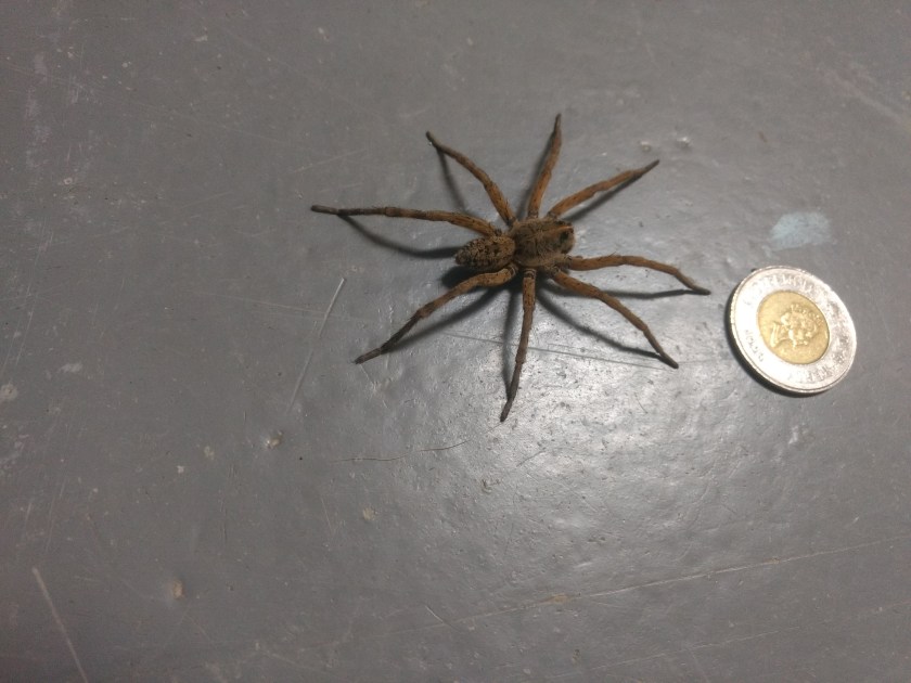 IMG_20180824_152839235