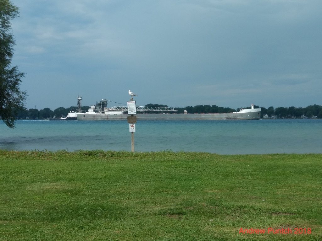 UNADJUSTEDNONRAW_thumb_4259