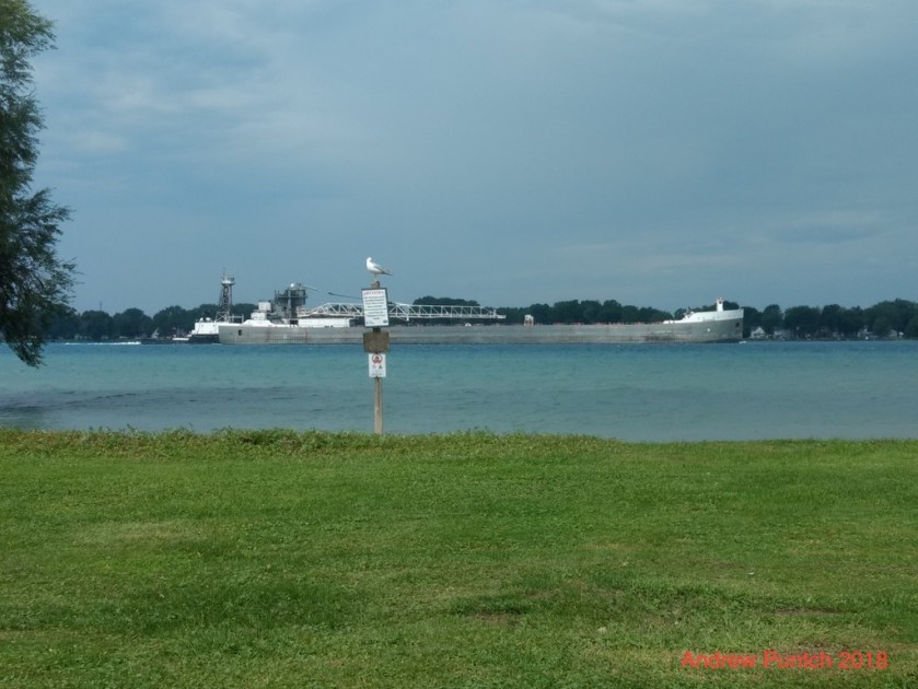 UNADJUSTEDNONRAW_thumb_4259