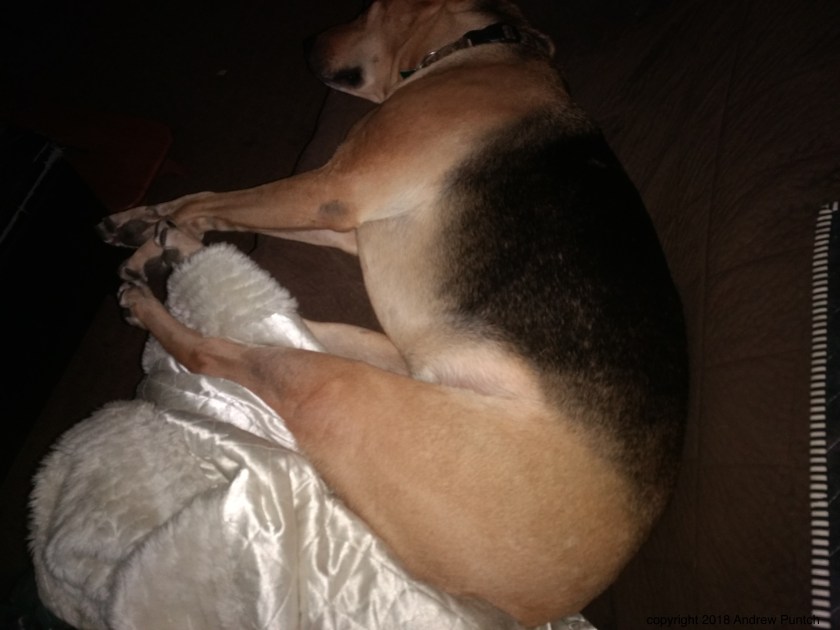 IMG_20181108_204112500