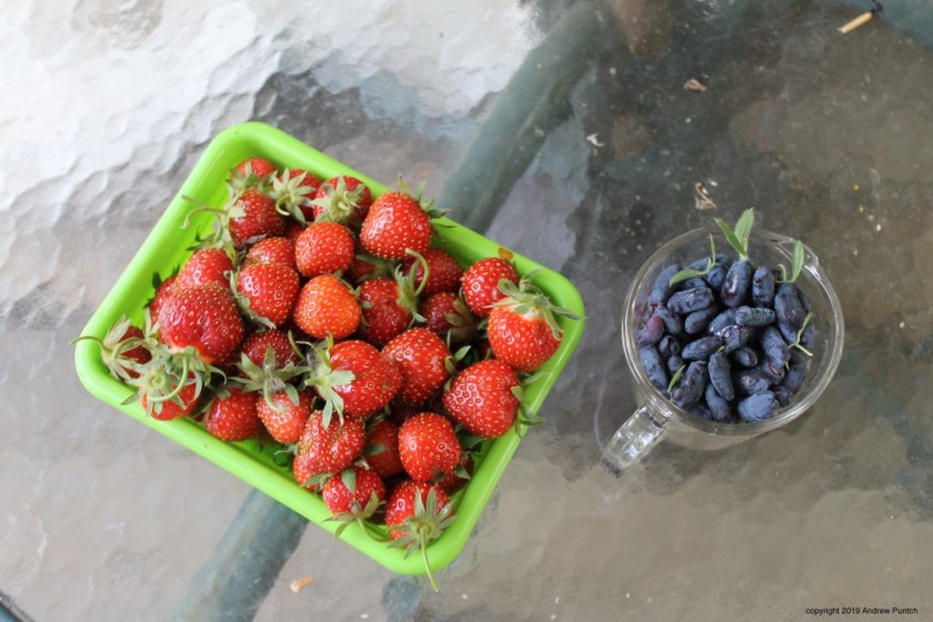 5mI6GfRDSDOG6sYzmPda4A_thumb_4ca8