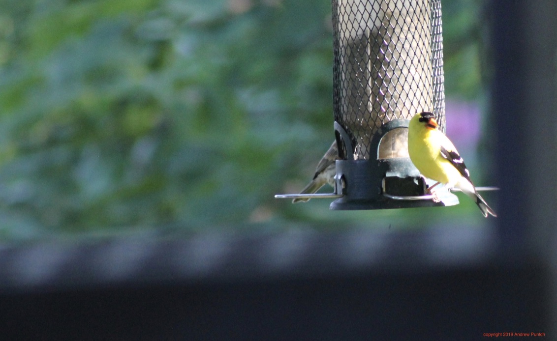 8dan9uv8TZ+a5xtkfx80Mg_thumb_4ca9