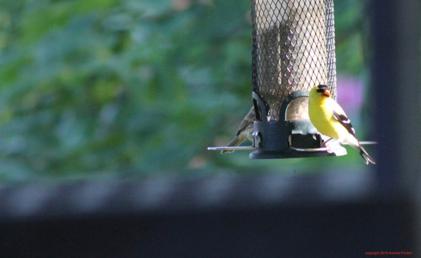 8dan9uv8TZ+a5xtkfx80Mg_thumb_4ca9