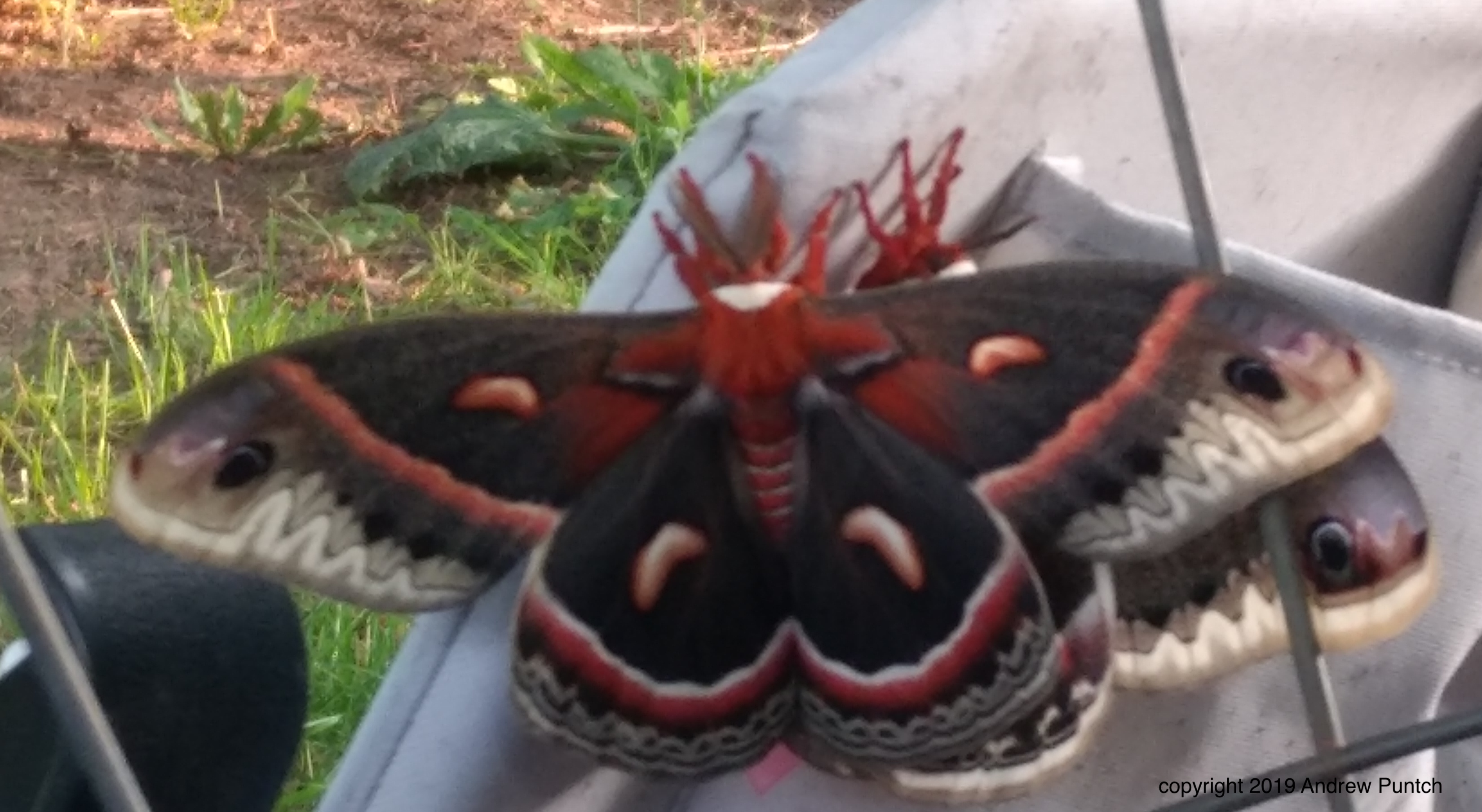 IMG_20190709(1) copy