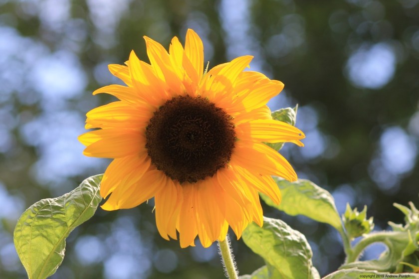 ba0uE1ZRQm2O5wPNEFDK8g_thumb_4e7d