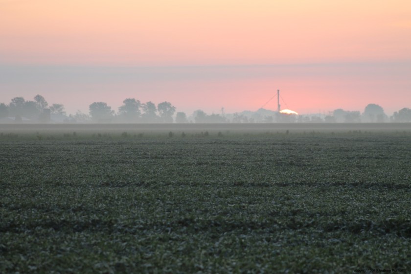 c6wCaVzIRZOdvRy5KMF13w_thumb_4e55