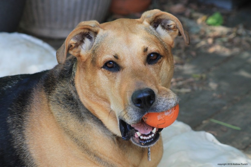 FWihKOcmSoCwNZnuA7lmLQ_thumb_4e7c