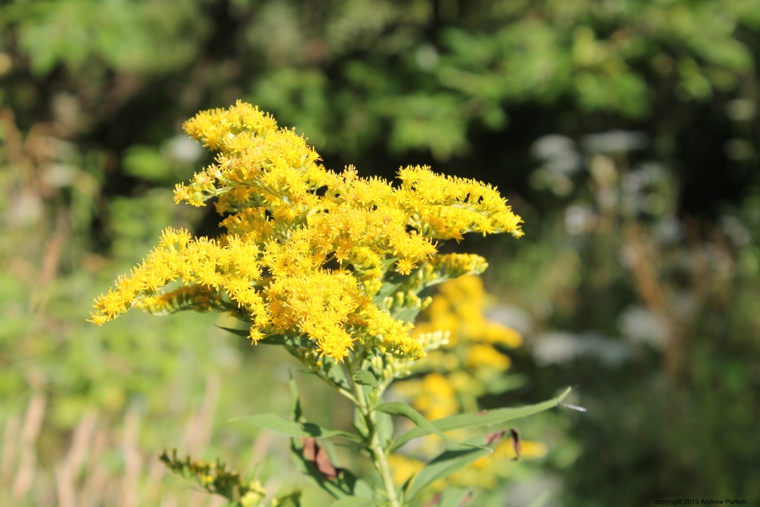 FXWQxNvbSWe+7SOCretE4Q_thumb_4e57