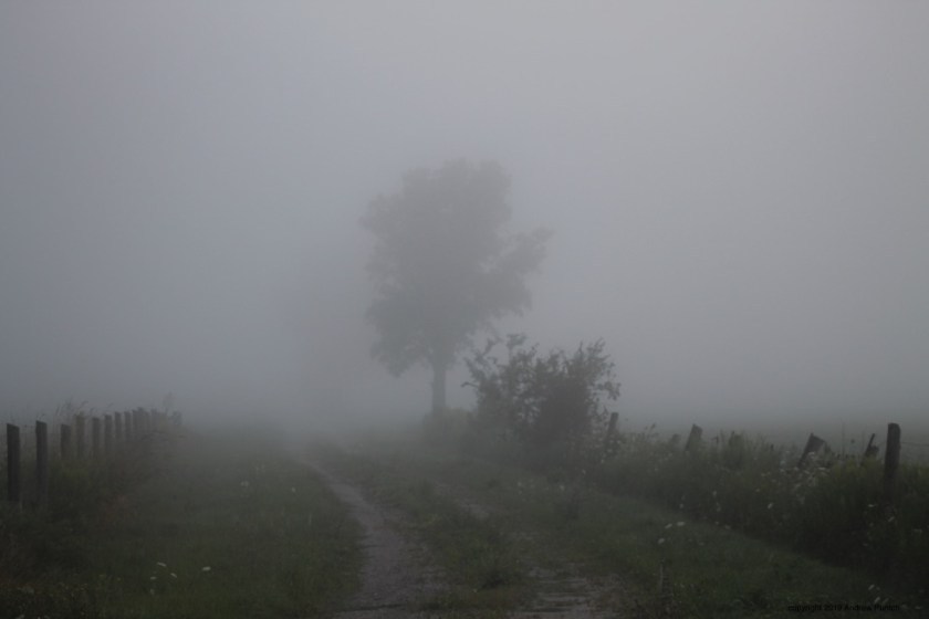 r%H%qa+3SISKp80QPrwVig_thumb_4e53