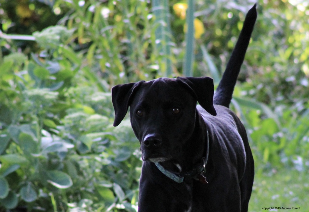 wxa6zcc0S+2PIBzJvbNNcQ_thumb_4e7e