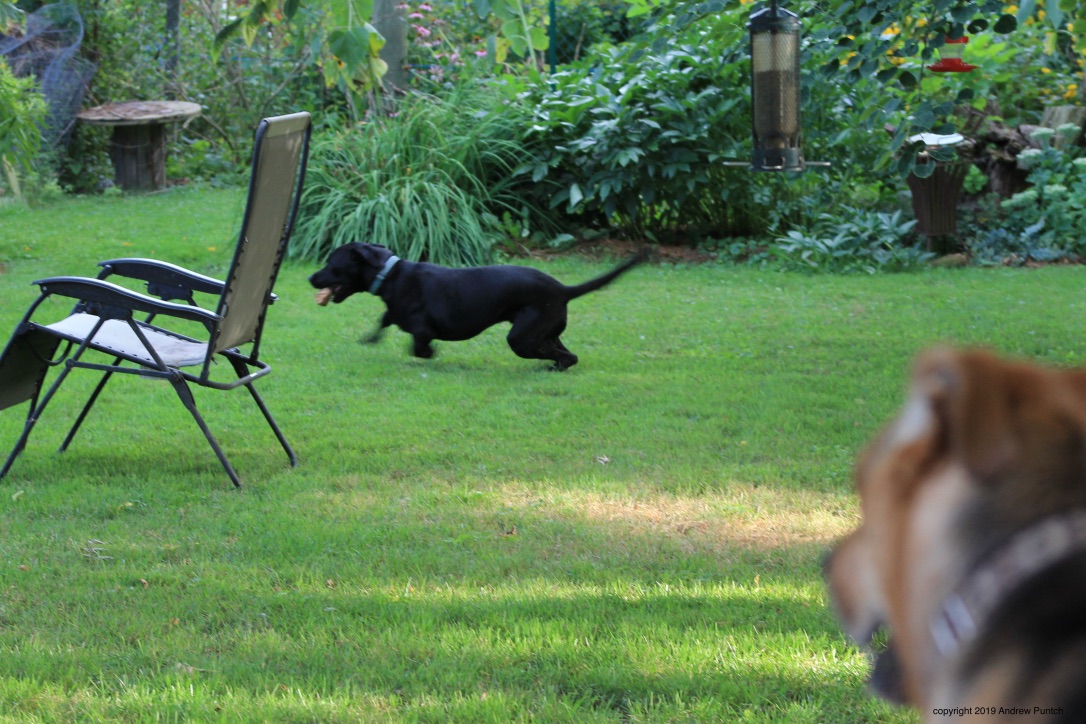 XQm3ki6WRTm5y+gxMYrIag_thumb_4e8d