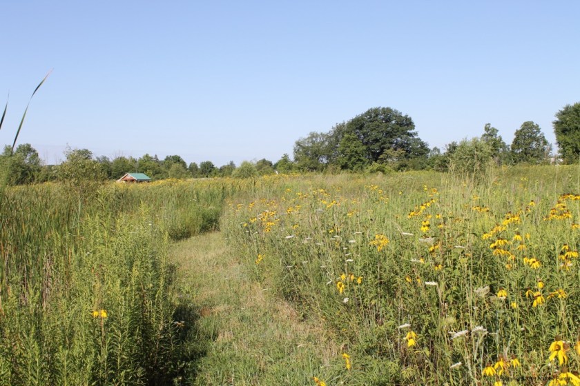 +yxcubz%TSiBSL%EuztzlQ_thumb_4e3c