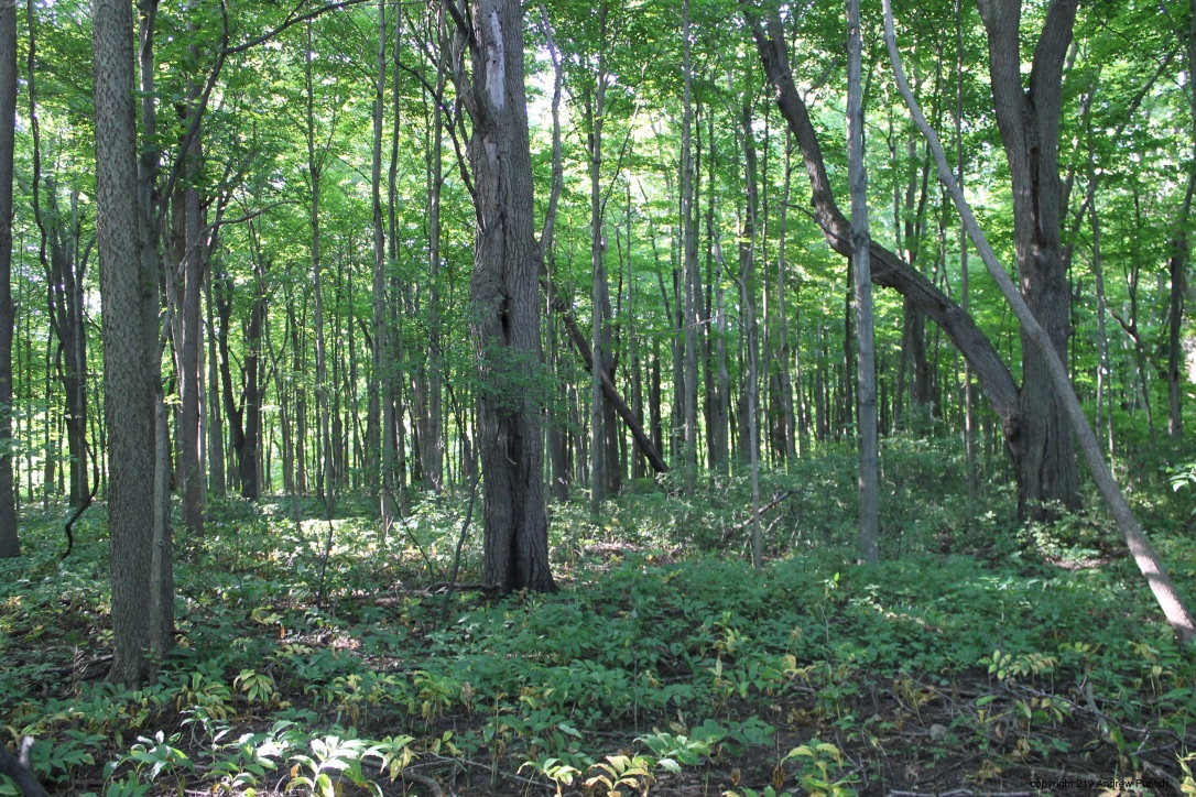 ZJZ4IFajQcO76Nhw7yn7uw_thumb_4e3d